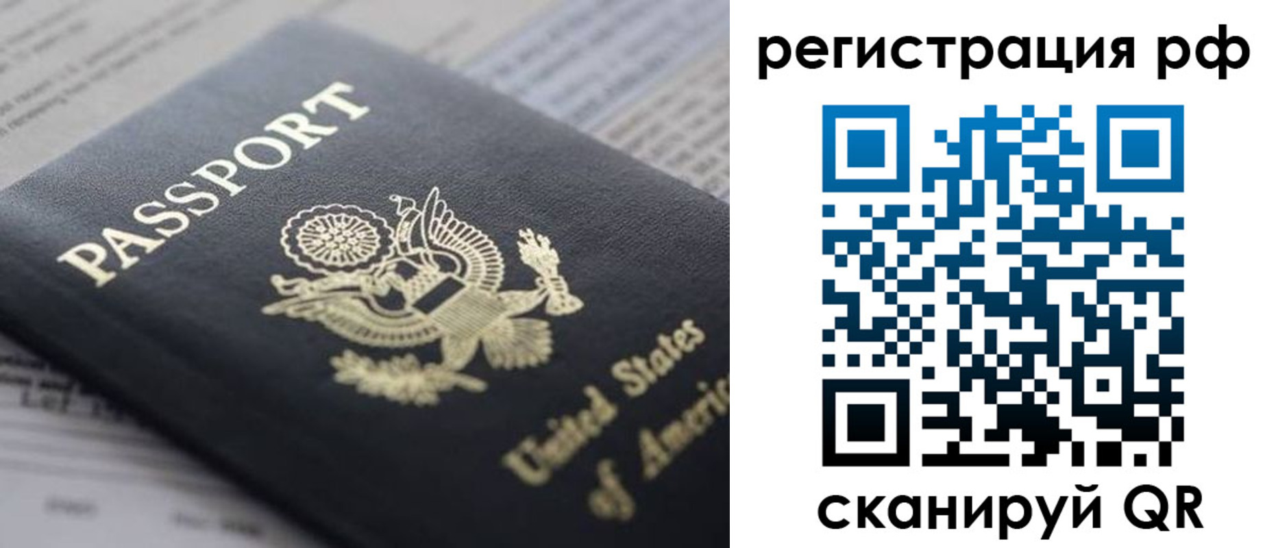 прописка поиск в Нелидово