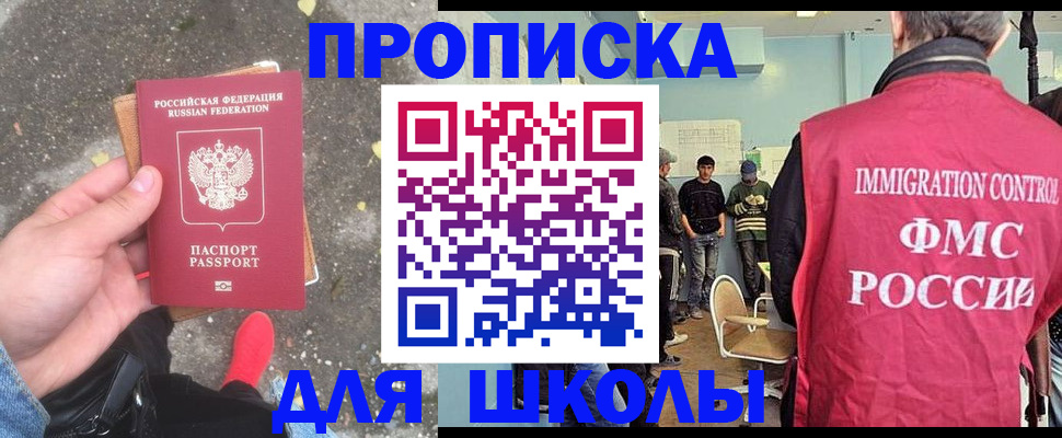 где прописаться в Нелидово